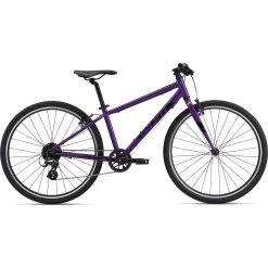 2022 Giant ARX 26 Kids Bike In Purple
