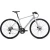 Giant FastRoad SL 2 Hybrid Bike In Good Gray