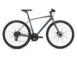 2021 Giant Escape 2 Disc Hybrid Bike In Silver