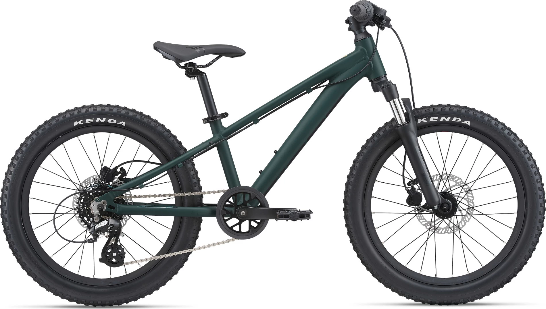 Giant STP 20 Kid's Mountain Bike In Trekking Green