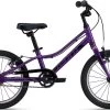 Giant ARX 16 F/W Kid's Bike In Purple
