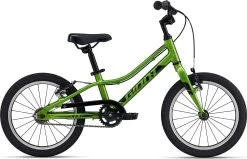 Giant ARX 16 F/W Kid's Bike In Green