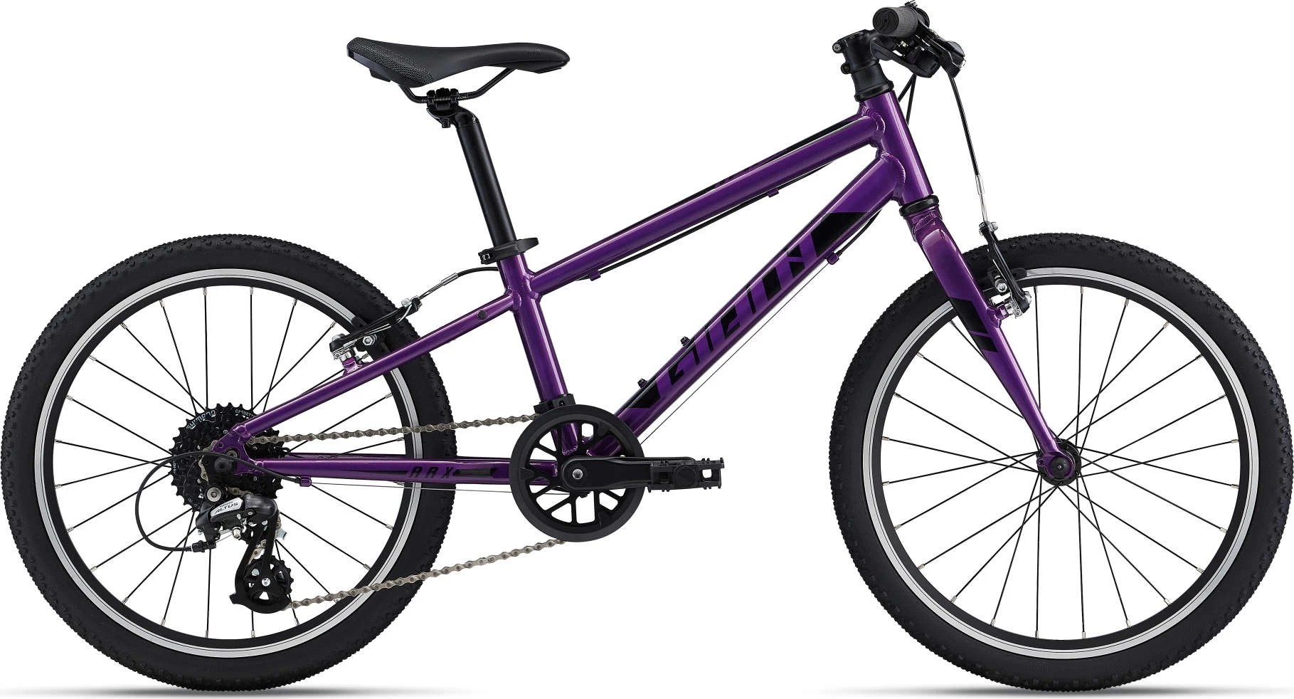 Giant ARX 20 Kid's Bike In Purple