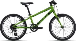 Giant ARX 20 Kid's Bike In Green