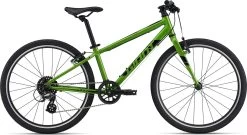 Giant ARX 24 Kid's Bike In Green
