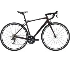 Giant CONTEND 1 - Shimano Sora Road Bike - 2023 - Rosewood